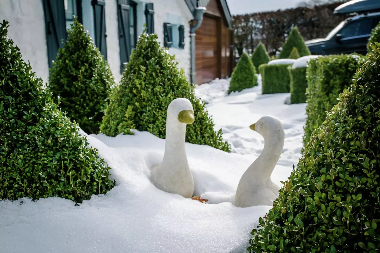 Les Oies-Tuin winter