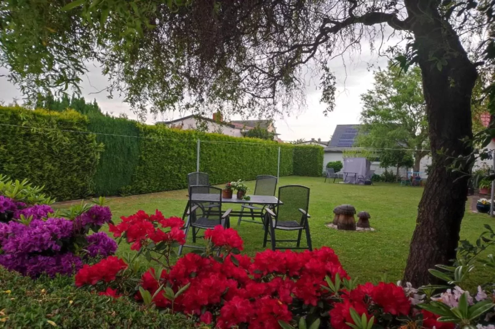 Lerchenzimmer im Reetdachhaus-Gebieden zomer 20km
