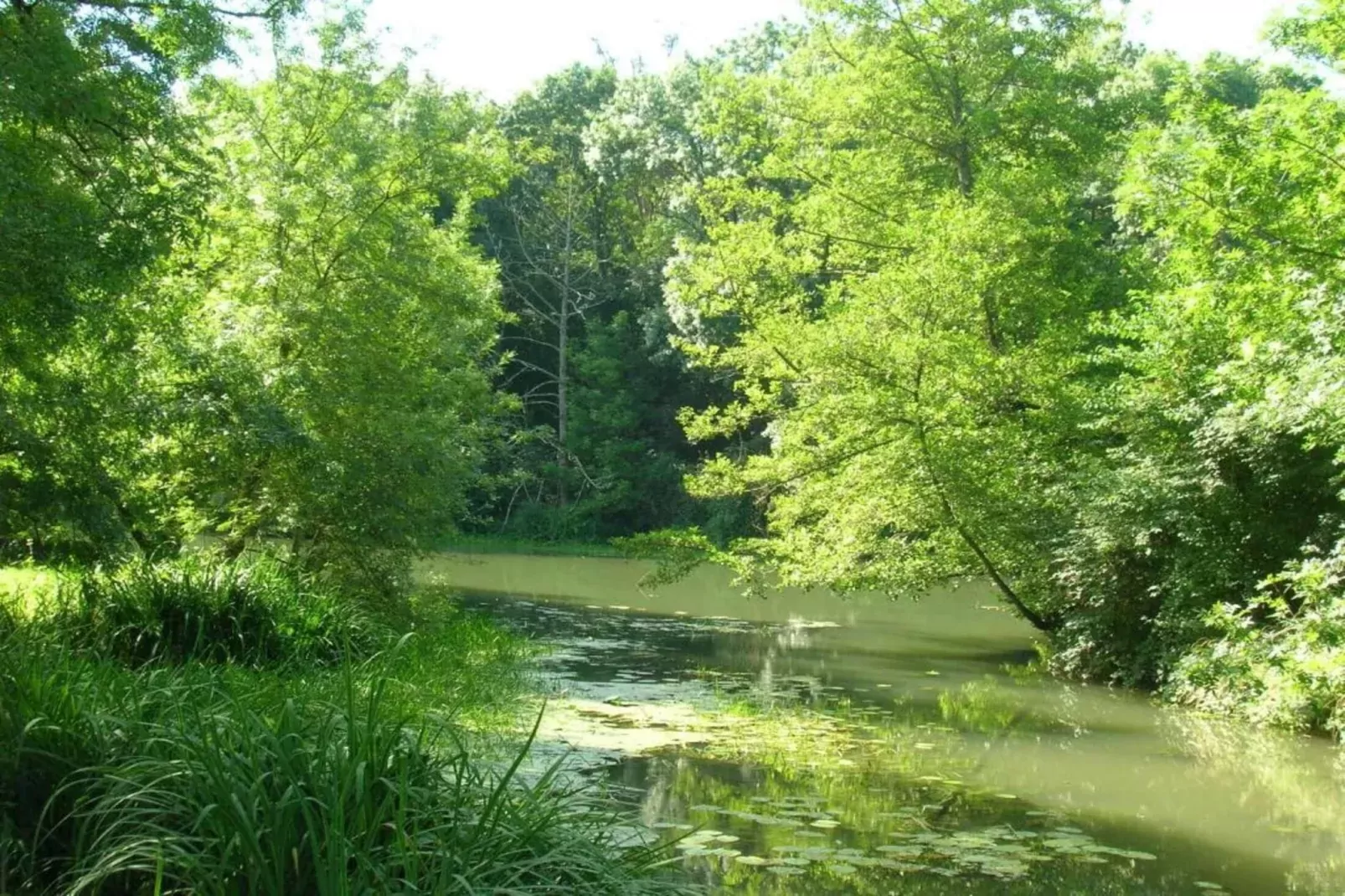 Residence Les Jardins Renaissance 2-Gebieden zomer 5km