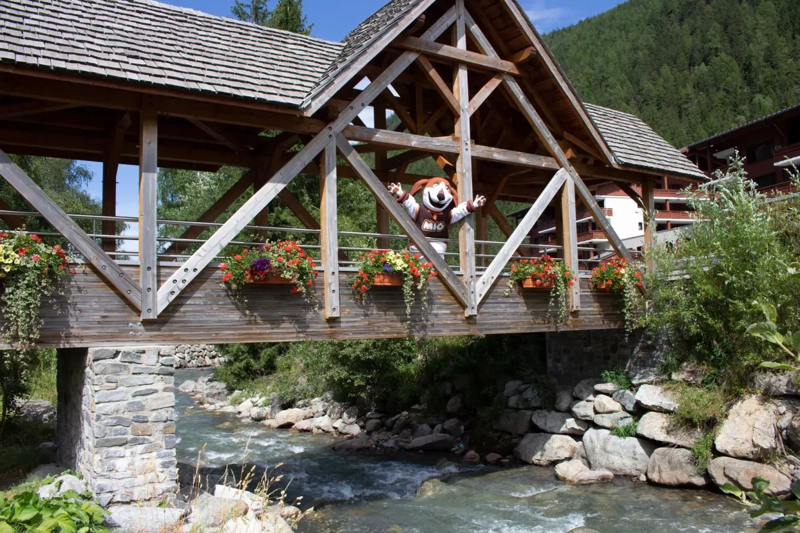 Resort les Portes du Mont Blanc 1