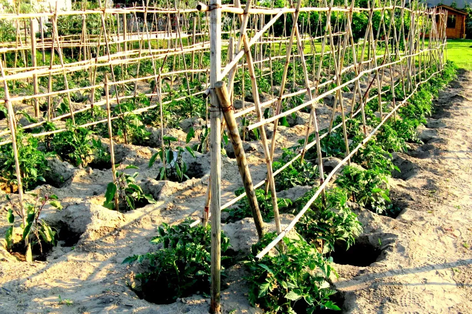 Venturi Olive-Faciliteiten