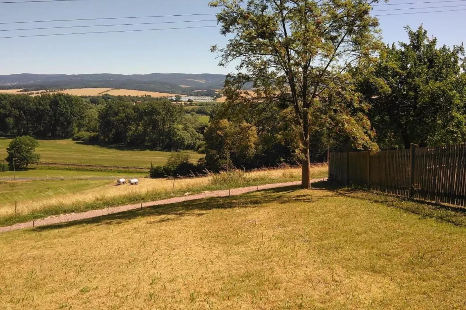 Hohe Rhön-Gebieden zomer 20km