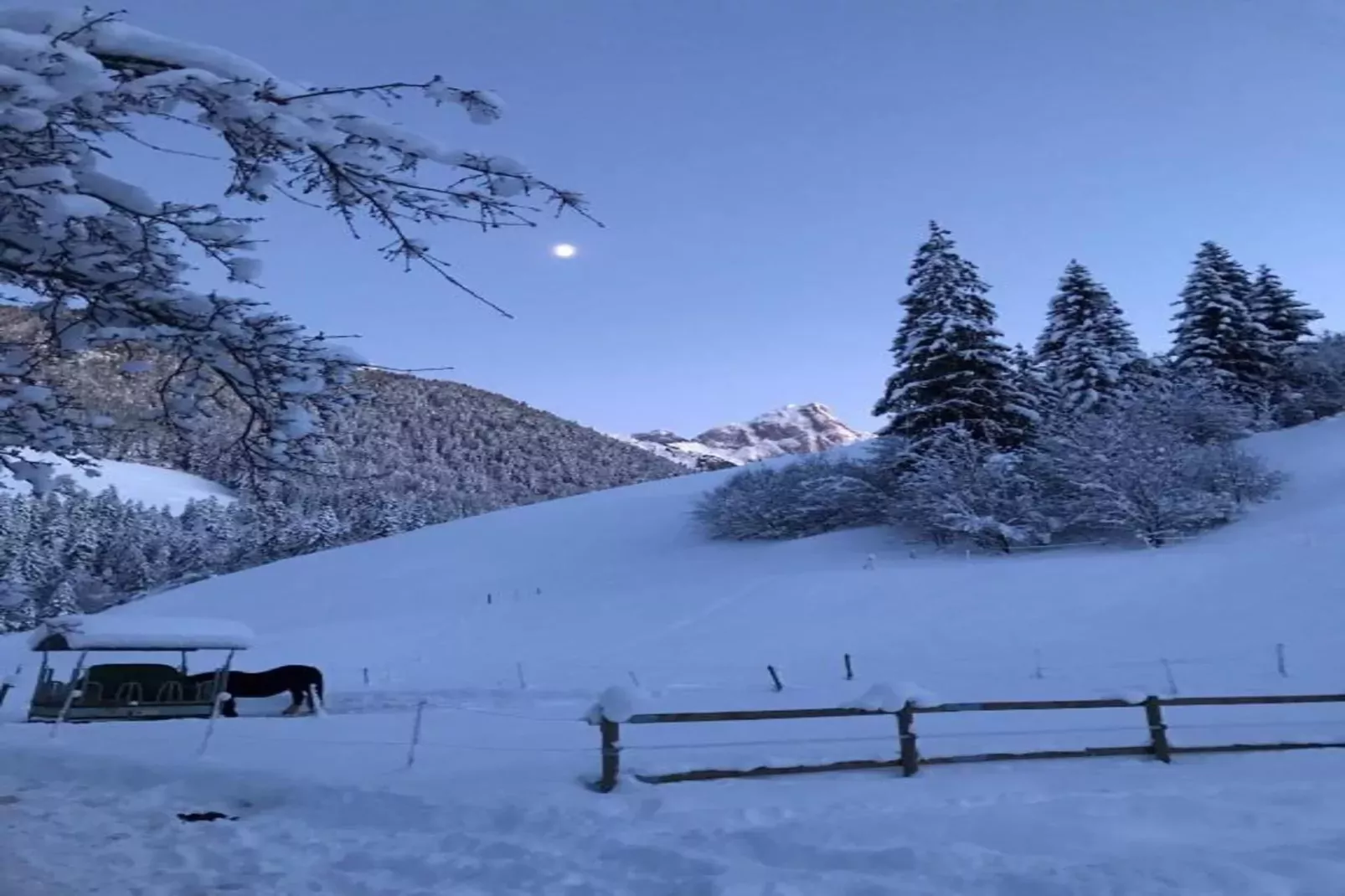 Beautiful Modern Chalet in the Gstaad Region-Gebied winter 5km