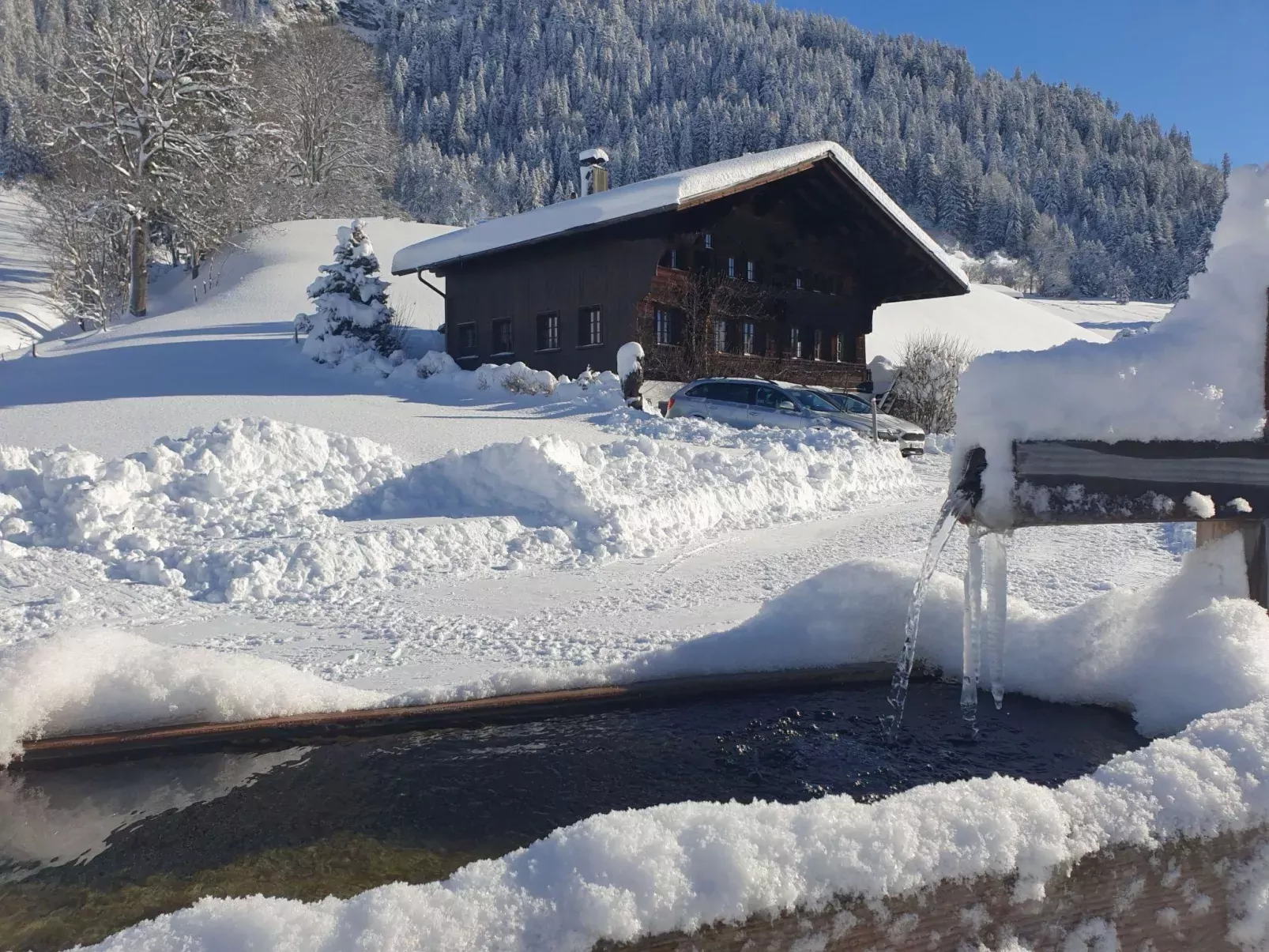 Aerneli, Chalet-Binnen