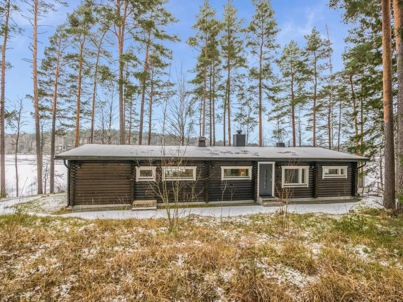 Villa lahnajärvi