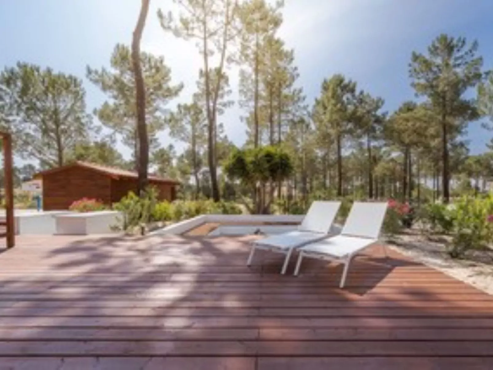 Natura Bliss Studio