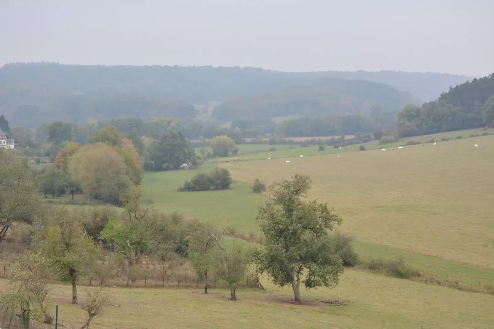 Le Gîte Mariette-Uitzicht zomer