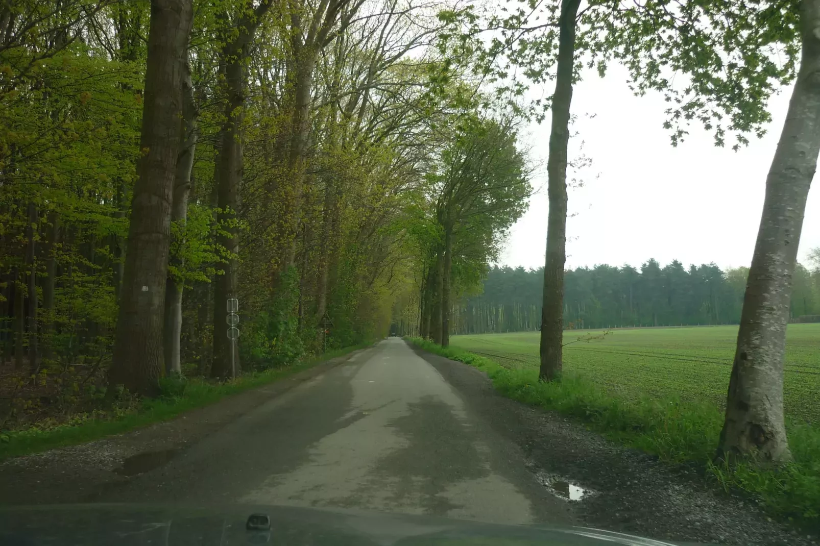Happy Moments-Gebieden zomer 1km