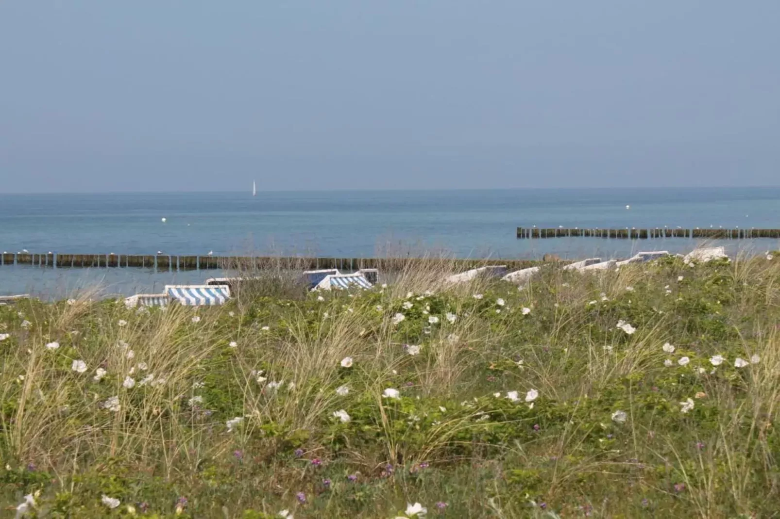 Hagen-Gebieden zomer 20km