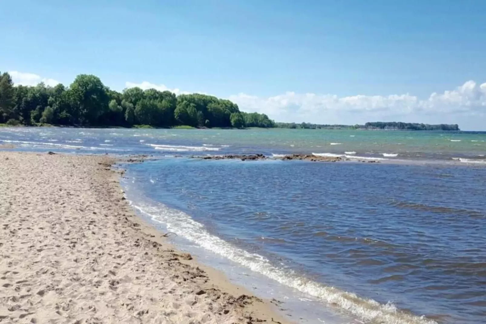 Zierow Z4B-Gebieden zomer 1km