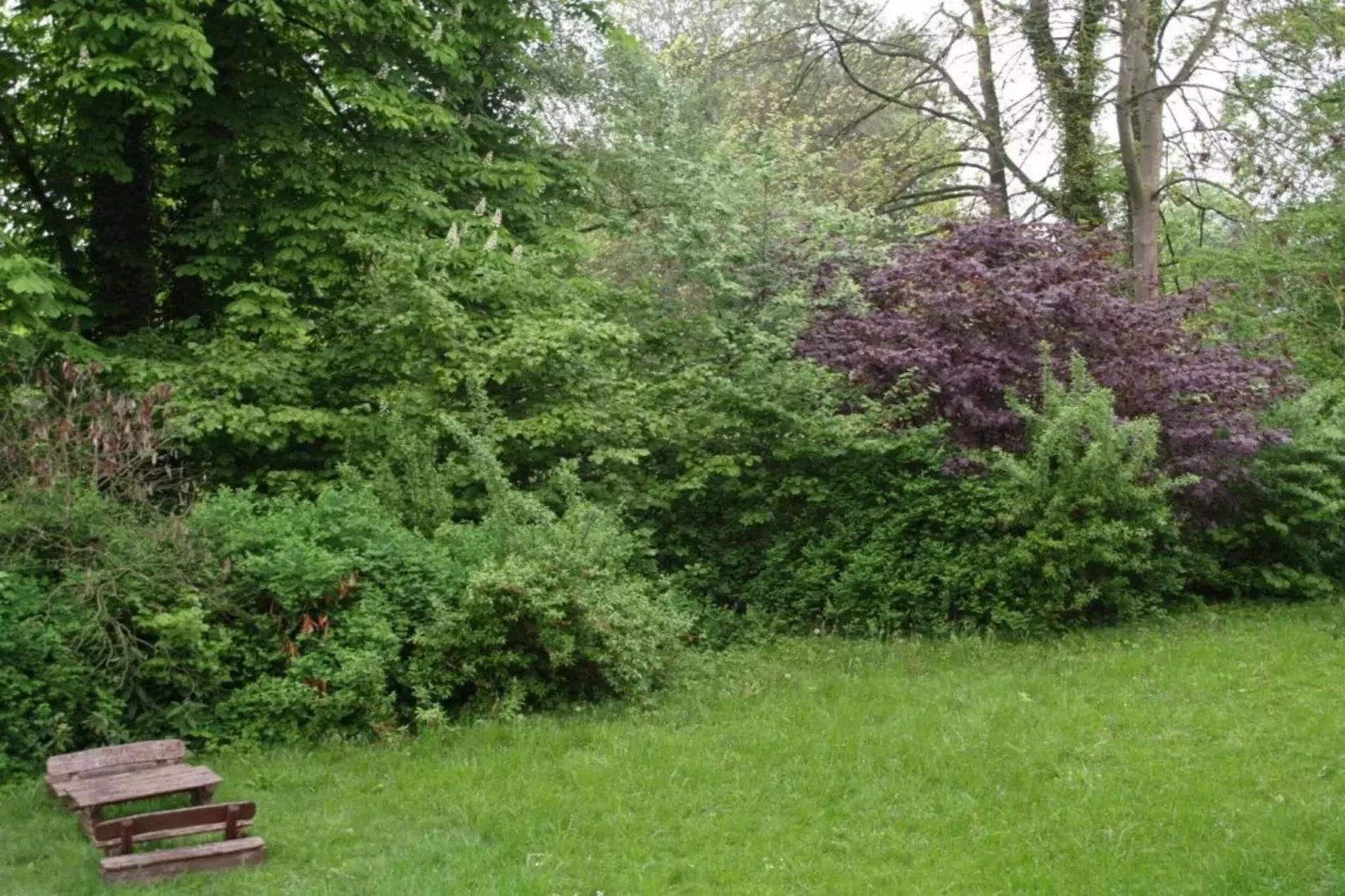 Im Weserbergland-Gebieden zomer 20km