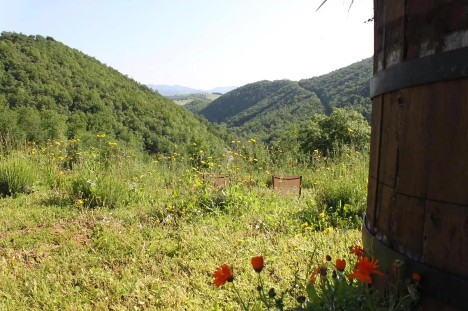 Casa Volpara-Gebieden zomer 20km