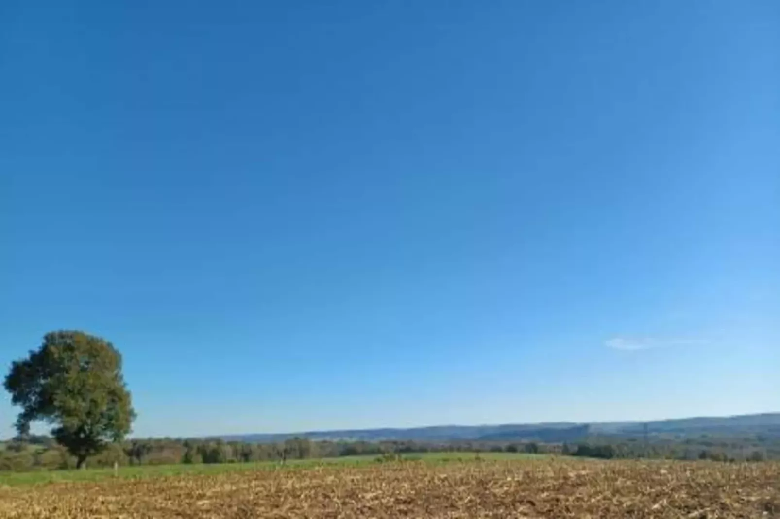 Vue sur Ourthe-Gebieden zomer 20km