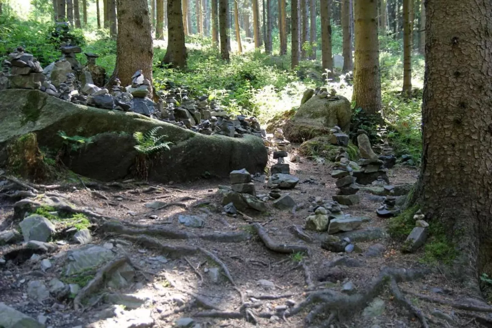 Grand Chalet am Bergflüsschen-Gebieden zomer 20km