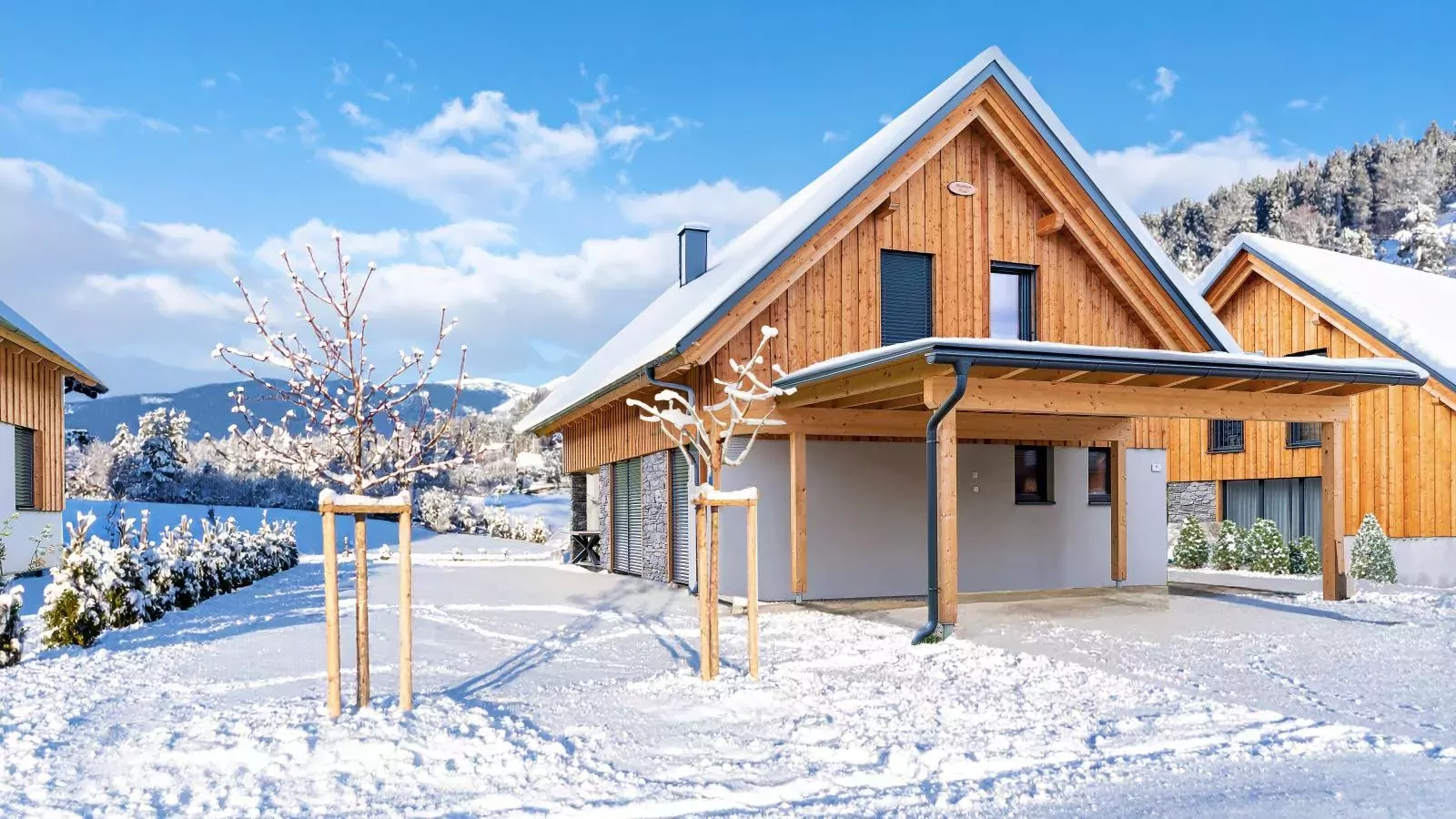 Mountain Vista-Exterieur winter