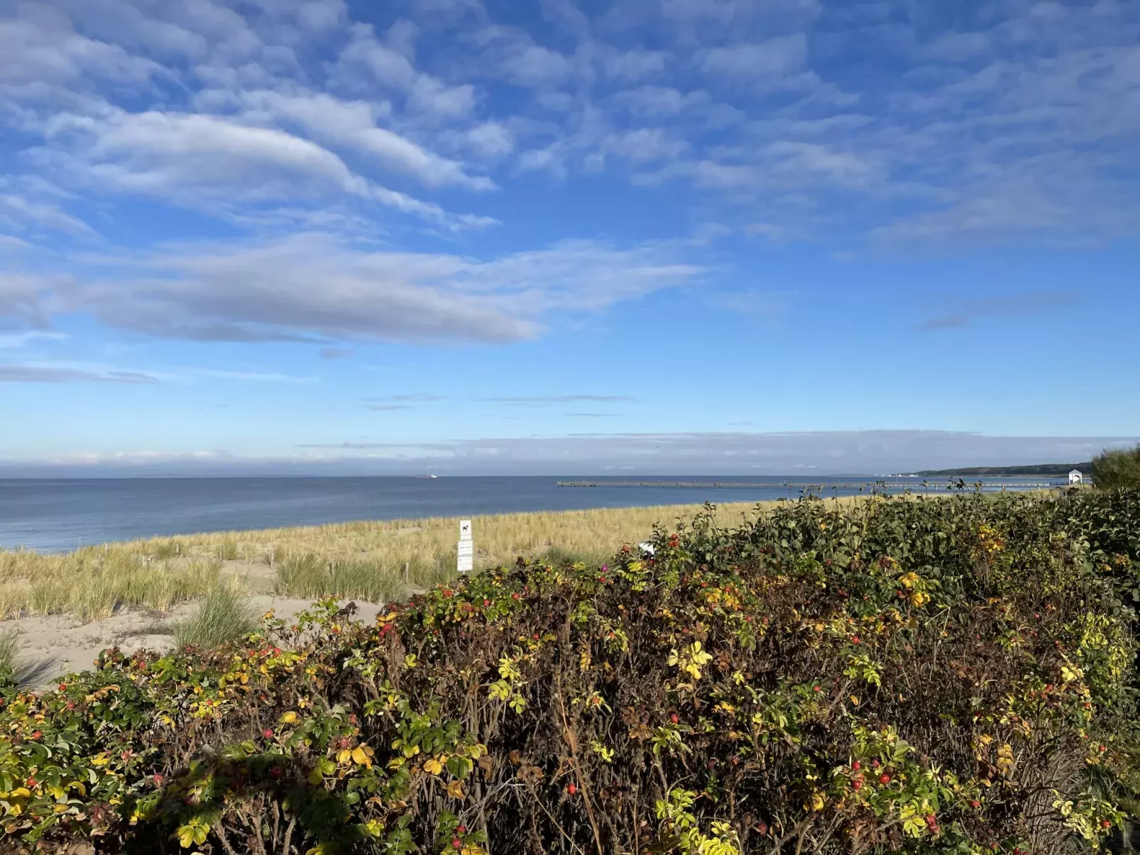 Strandvilla (LUB116)-Buiten