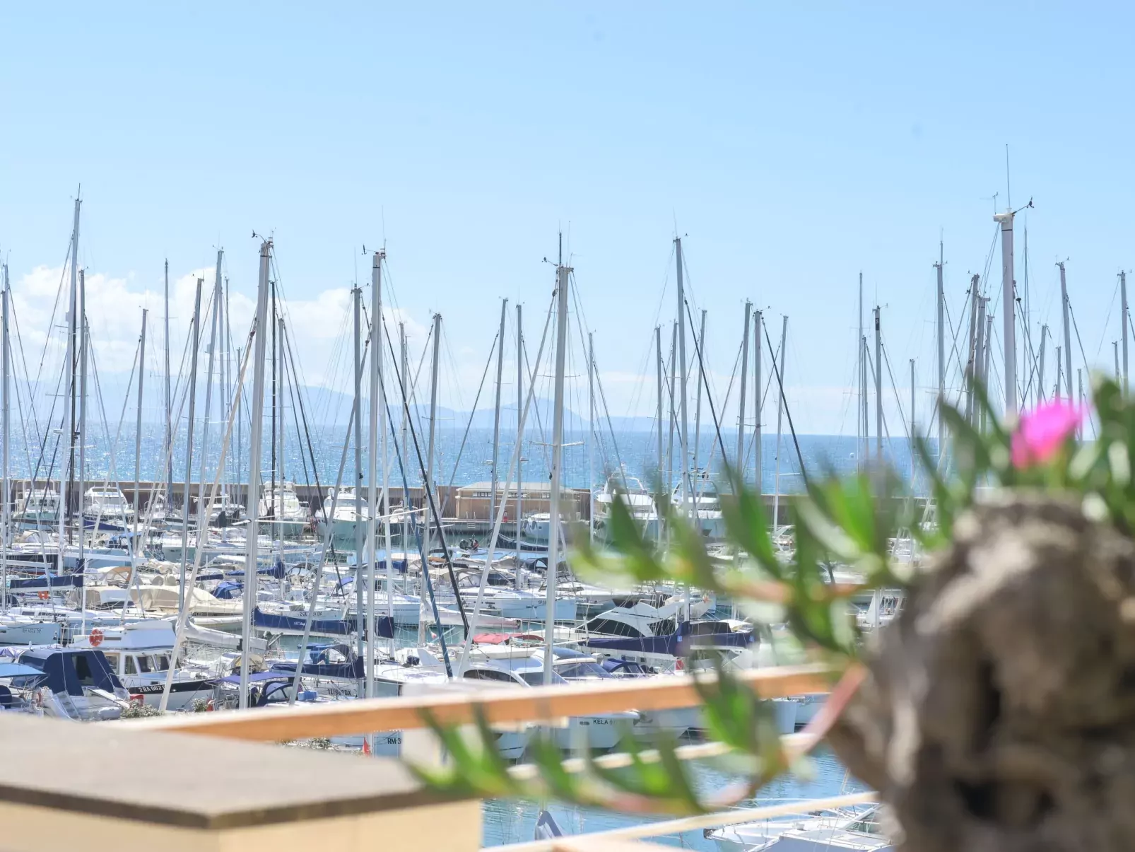 La Marina
