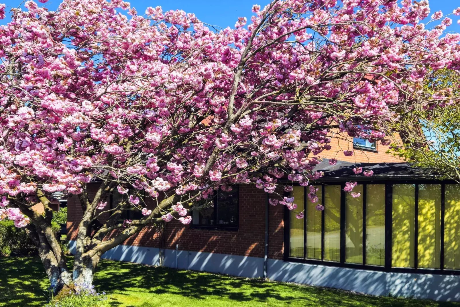 8 persoons vakantie huis in Øster Assels-By Traum-Buitenlucht