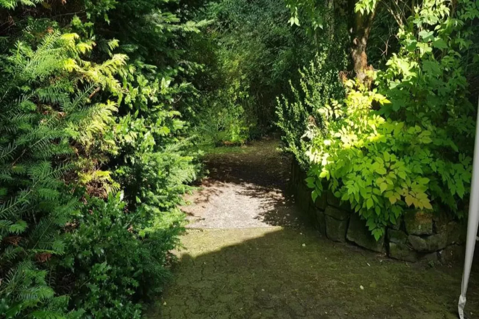 Ferienapartment Afrika in Wildemann Harz-Gebieden zomer 20km