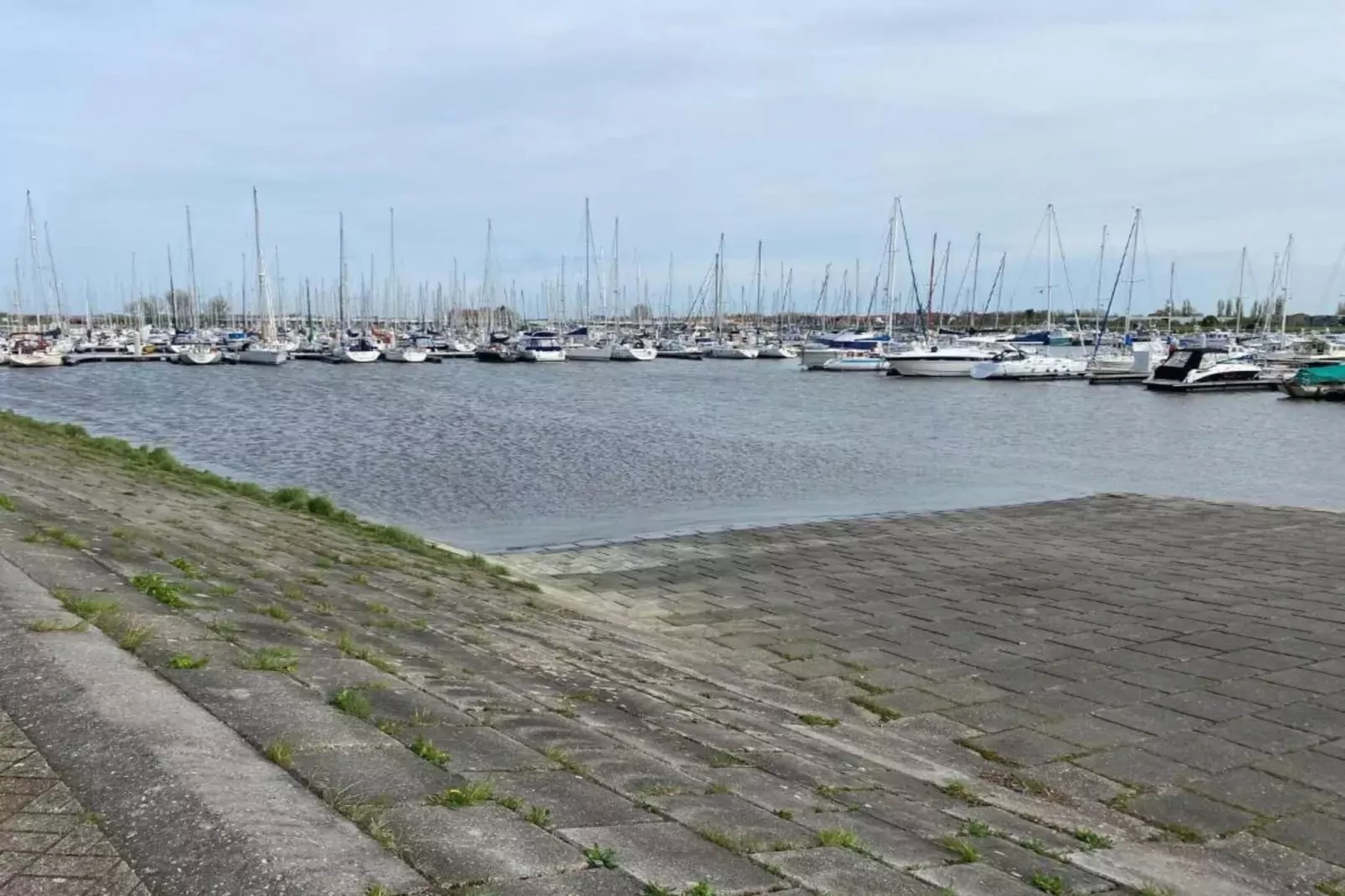 WSP7-Gebieden zomer 20km