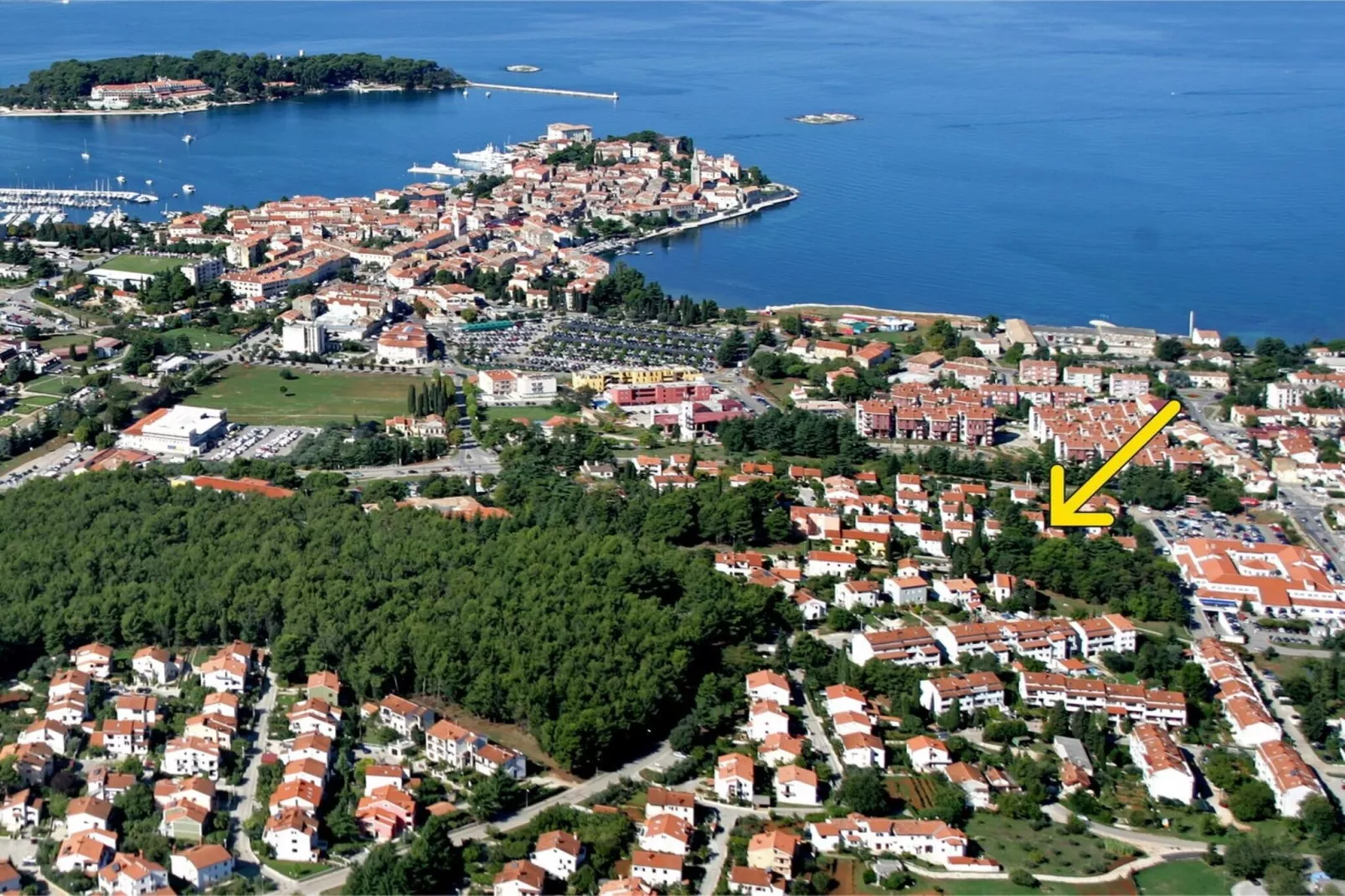 Apartment Rocco
