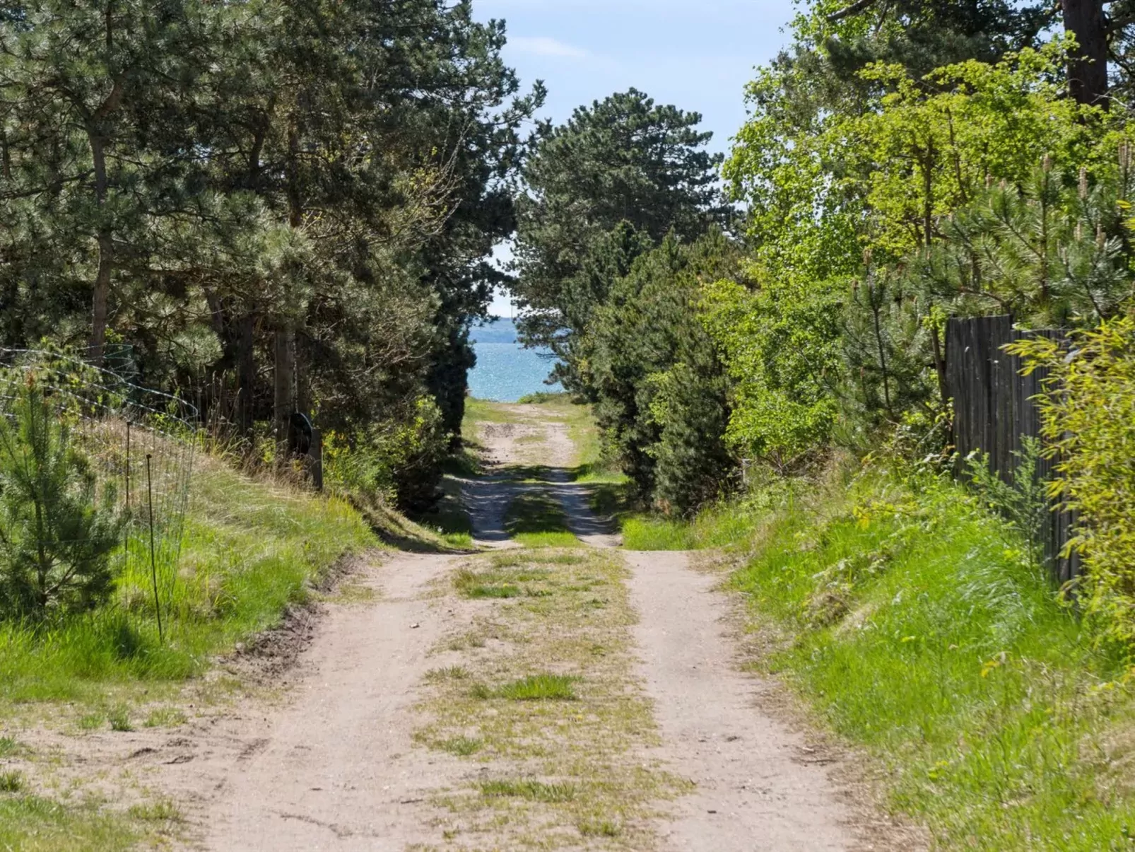 "Dagino" - 200m from the sea-Buiten