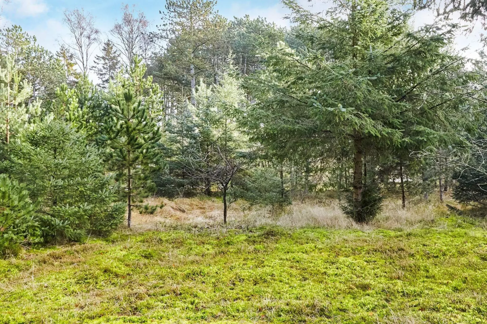 4 persoons vakantie huis in Store Fuglede-By Traum-Uitzicht