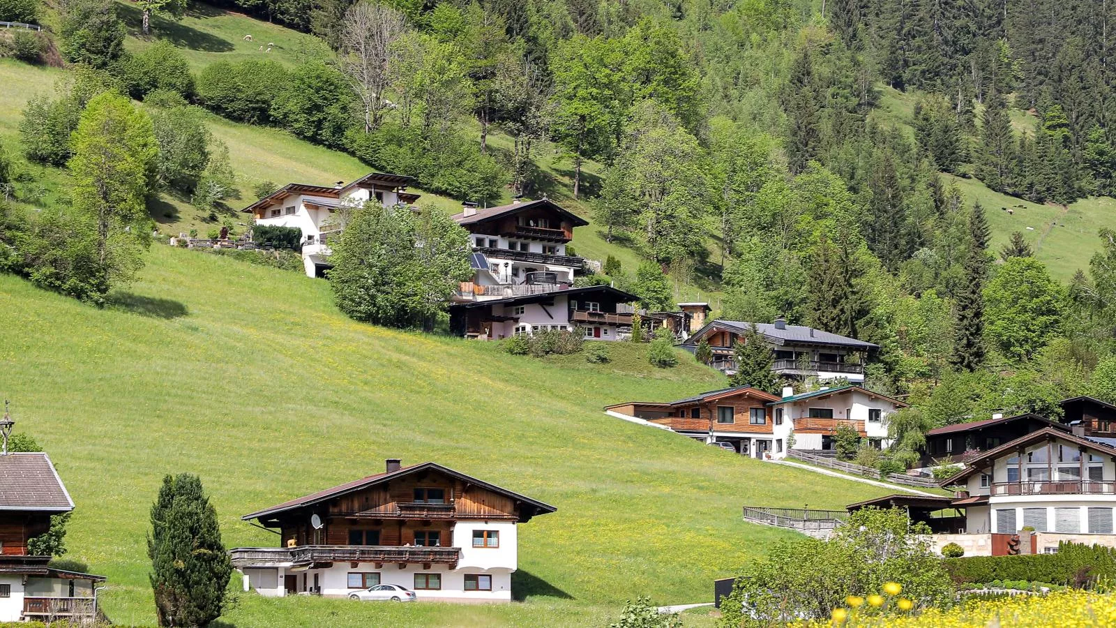 Kitzbüheler-Alpen Chalet