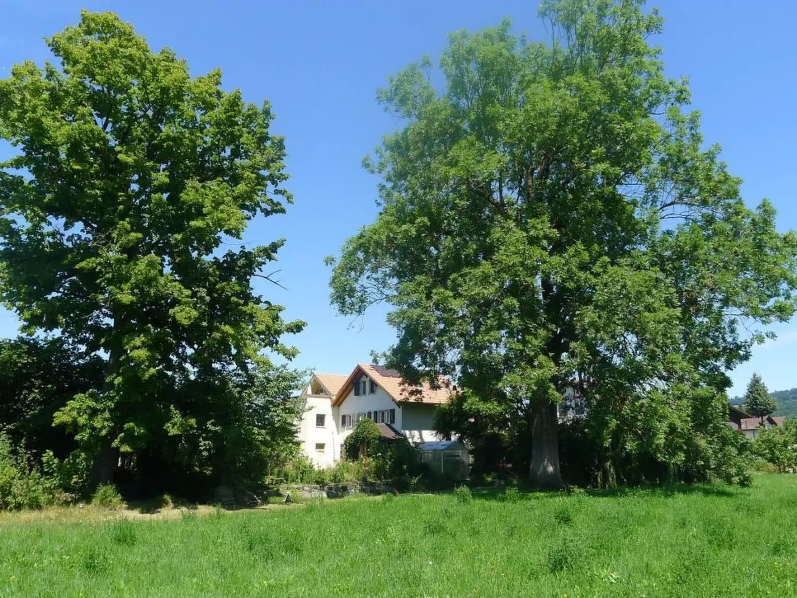 Ferienhaus Oase am Mühlebach-Buiten