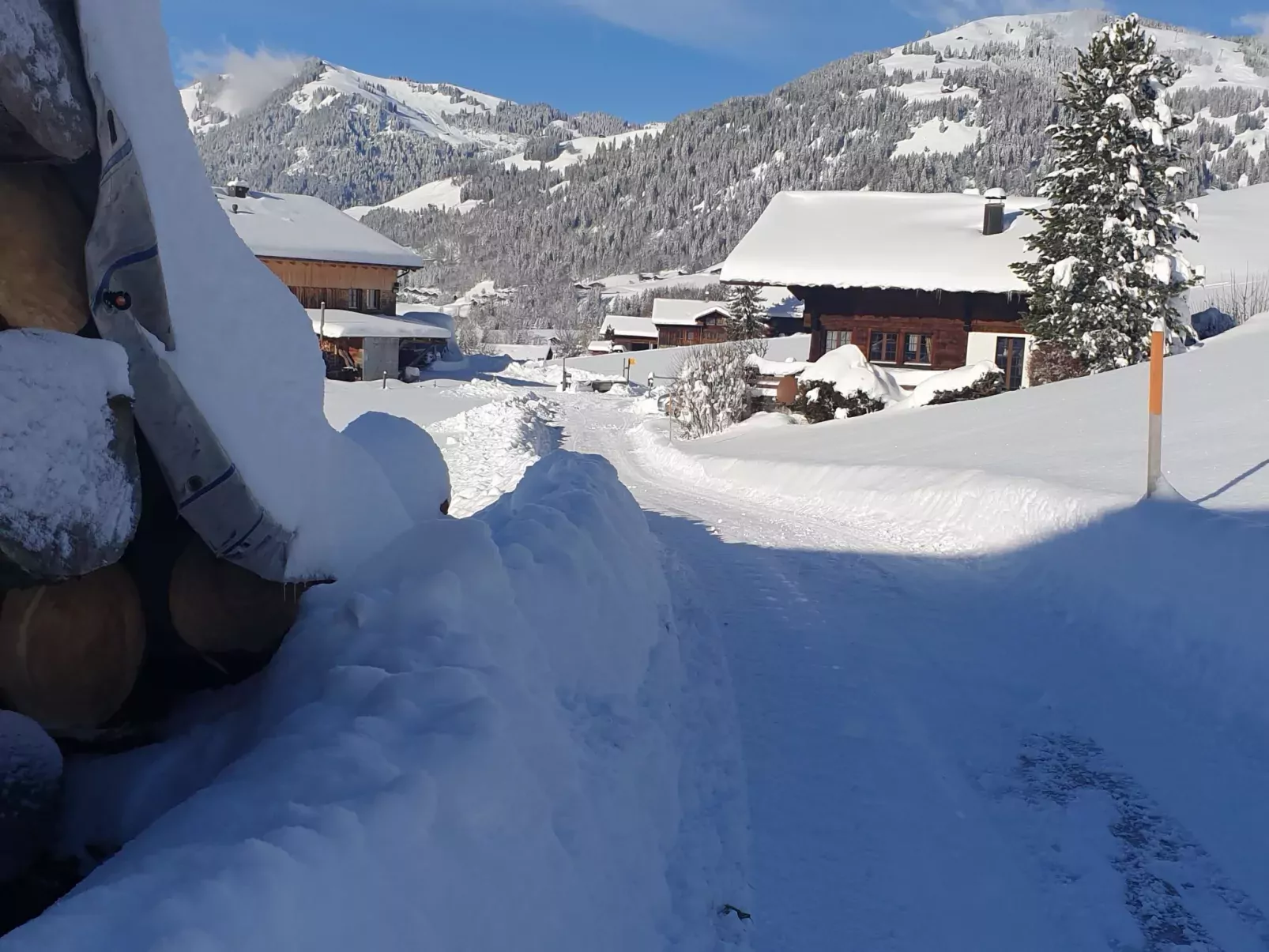 Aerneli, Chalet-Binnen