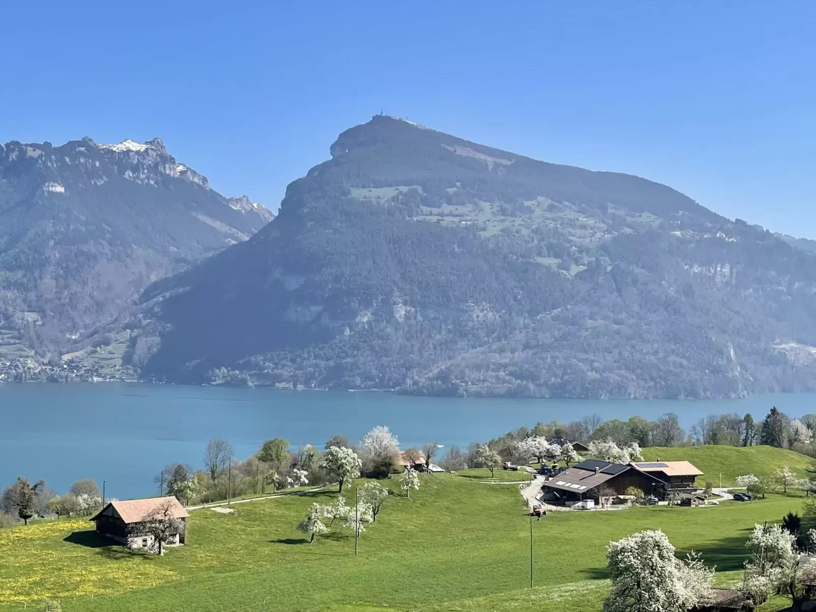 Panoramaferienwohnung Waldkircher
