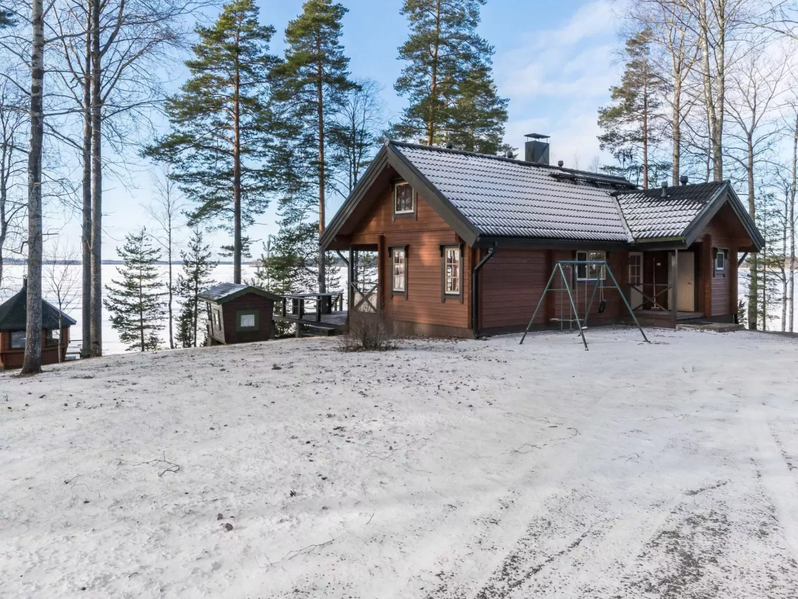 Puolen hehtaarin metsä