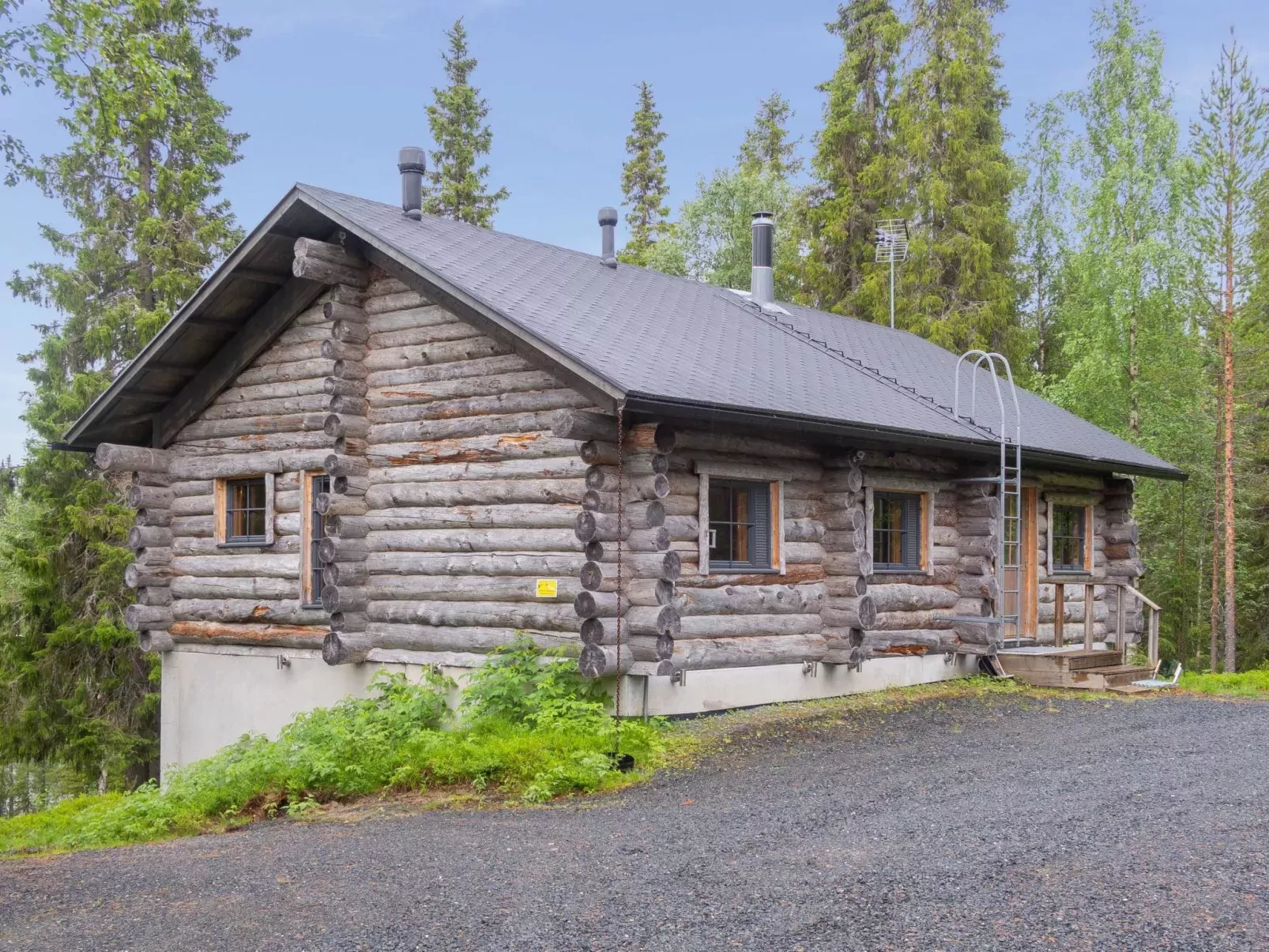 Muuttohaukka