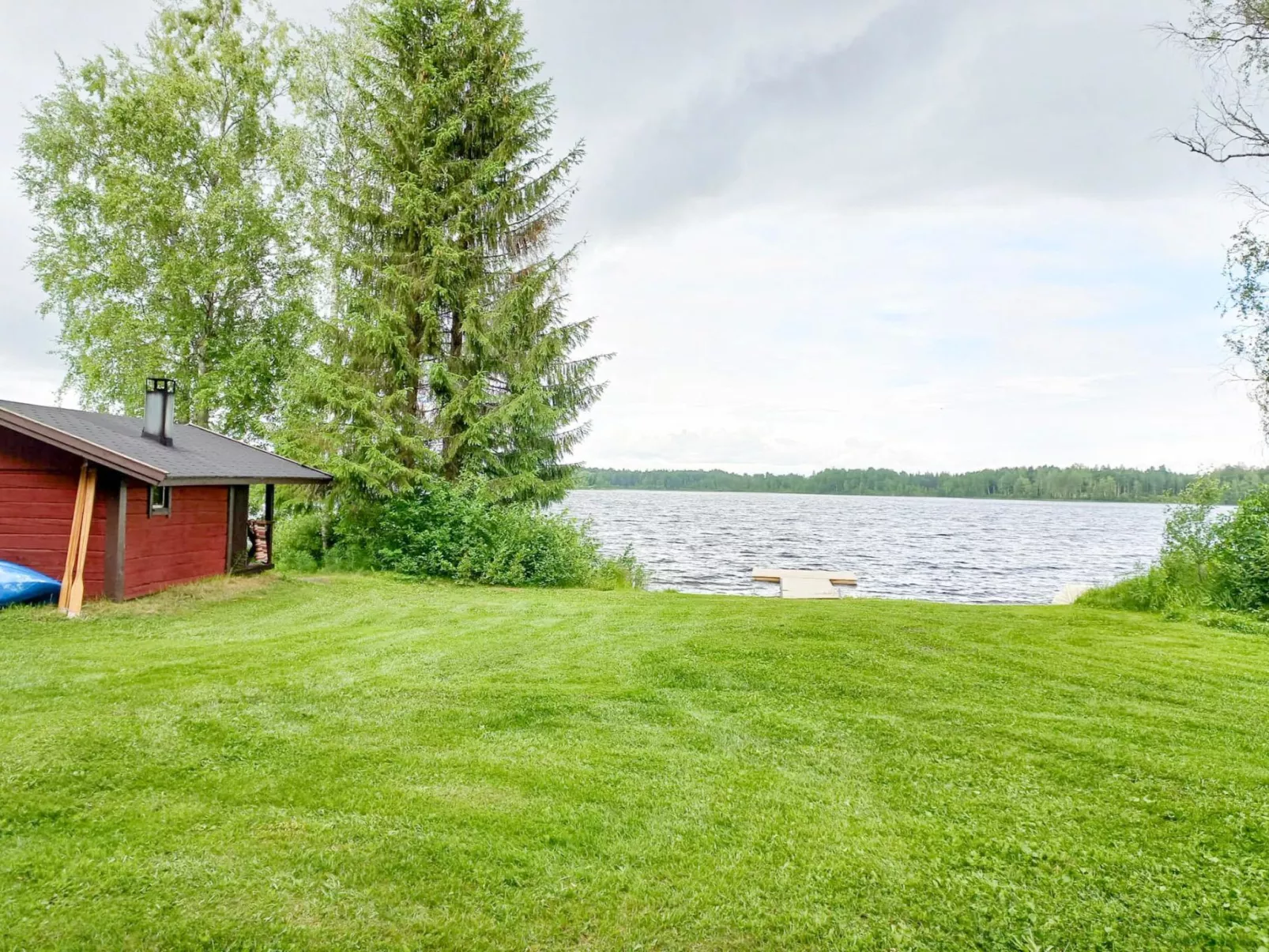 Ranta-koivu
