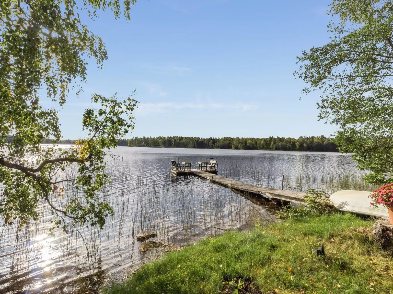 Koivuranta
