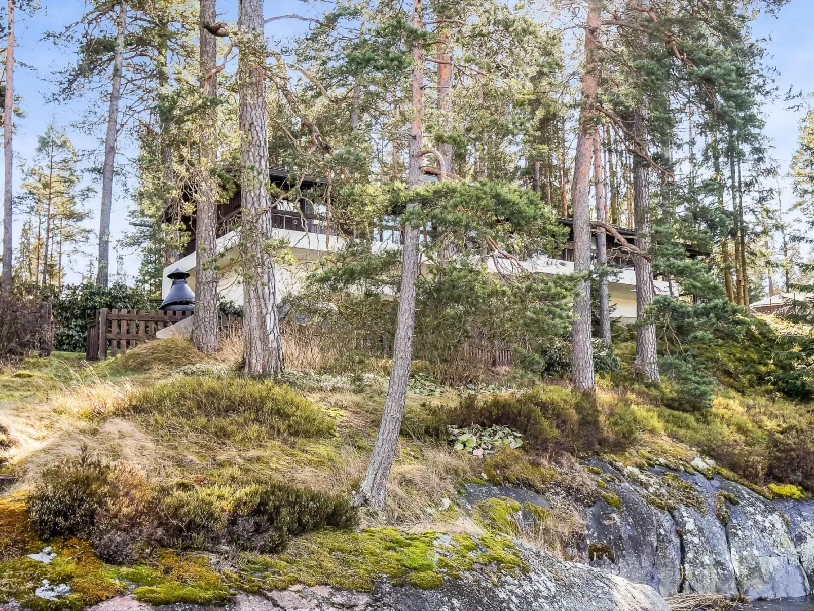 Pippuriranta
