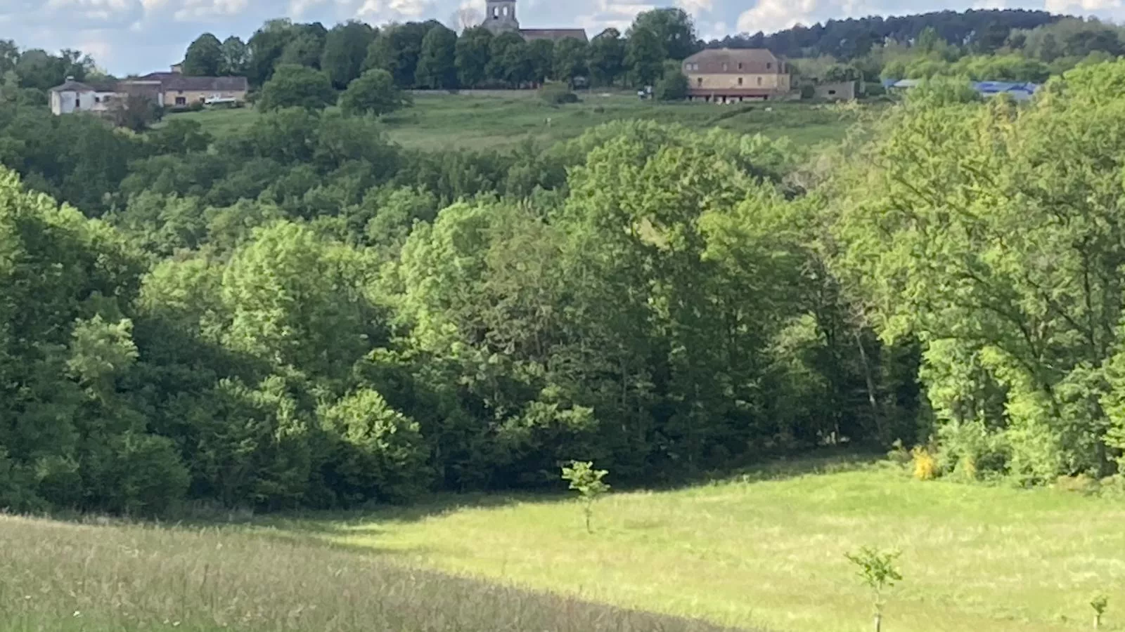 viewsummer