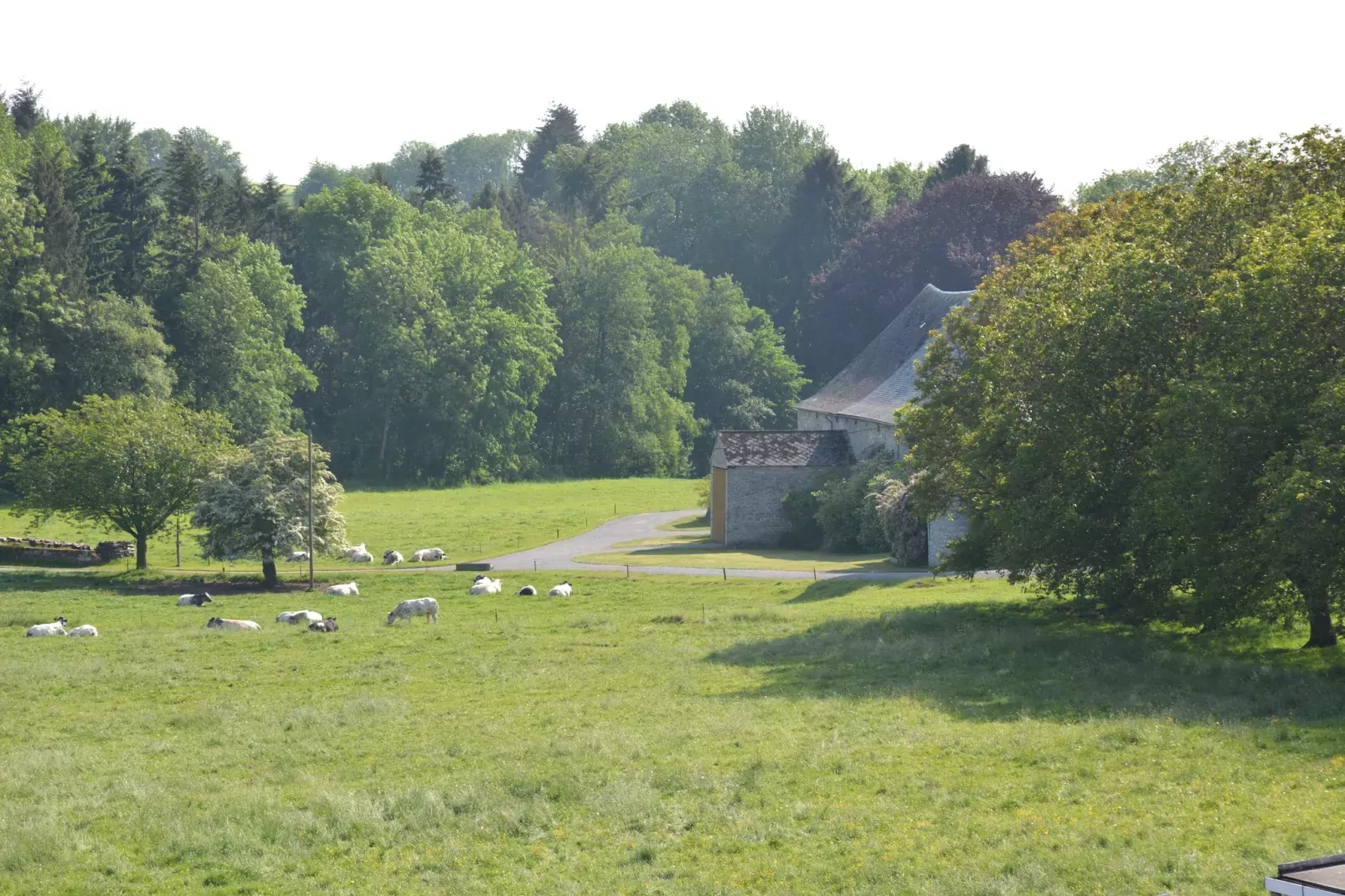 Enjoyquare 18-Uitzicht zomer