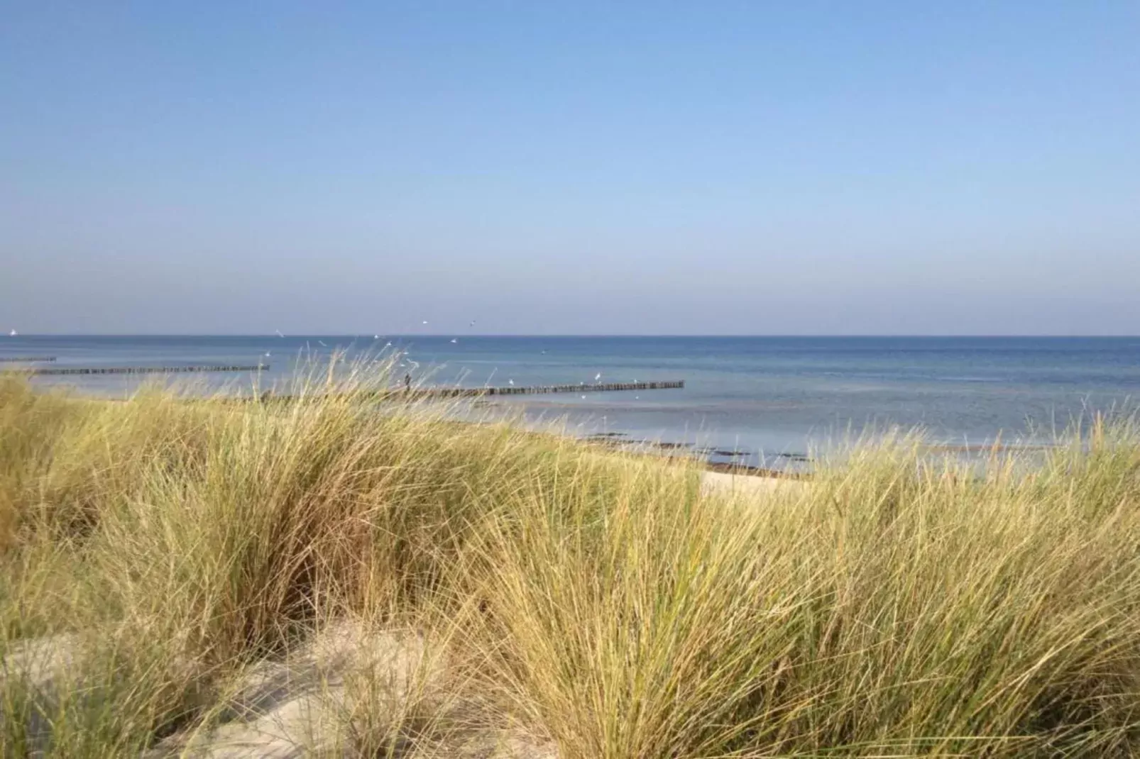 Strandnahes Ferienhaus Claudia in Rerik-Gebieden zomer 20km