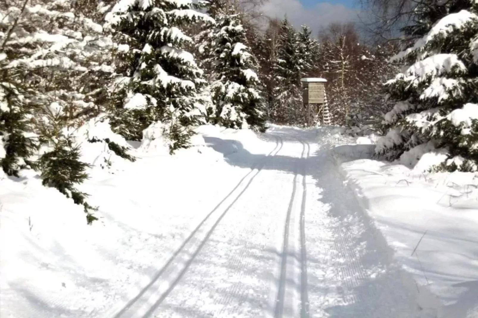 Waltraud-Gebied winter 20km