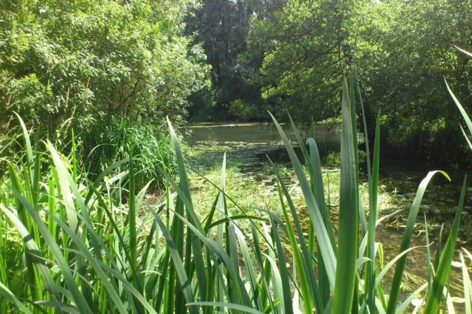 Residence Les Jardins Renaissance 2-Gebieden zomer 5km