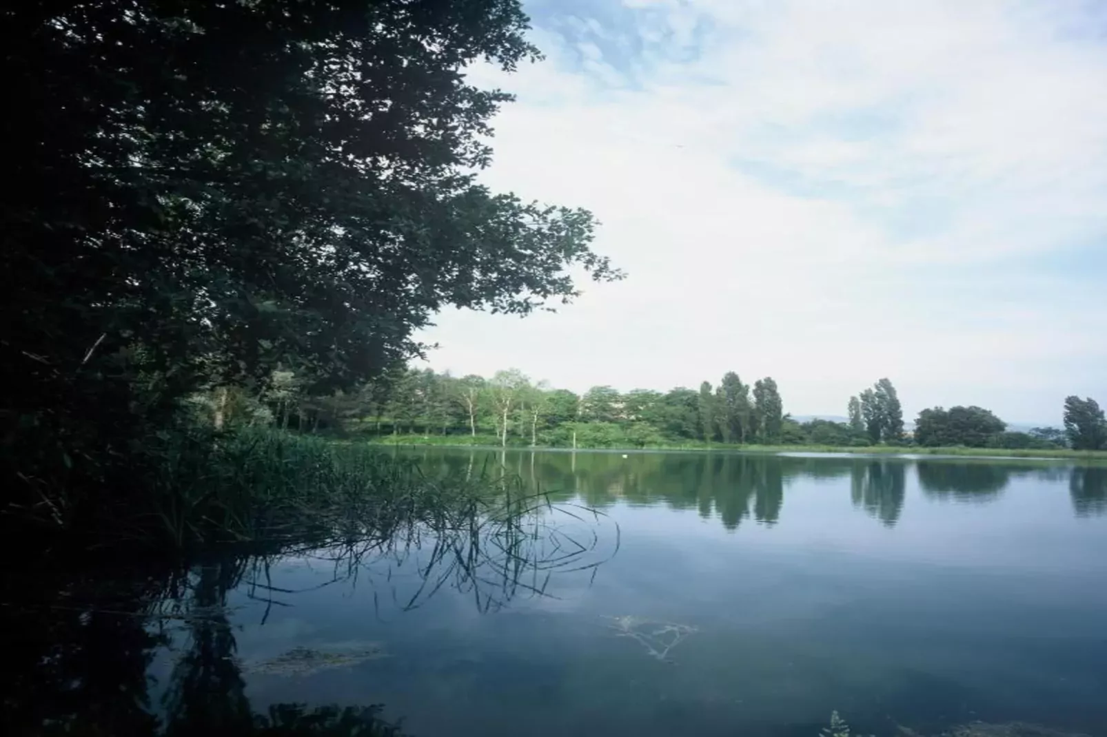 Super Comfort-Gebieden zomer 20km
