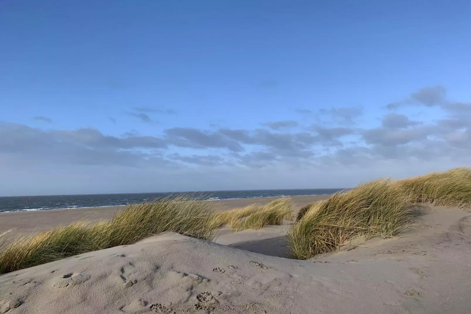 Strandpark Duynhille 4-Gebieden zomer 1km