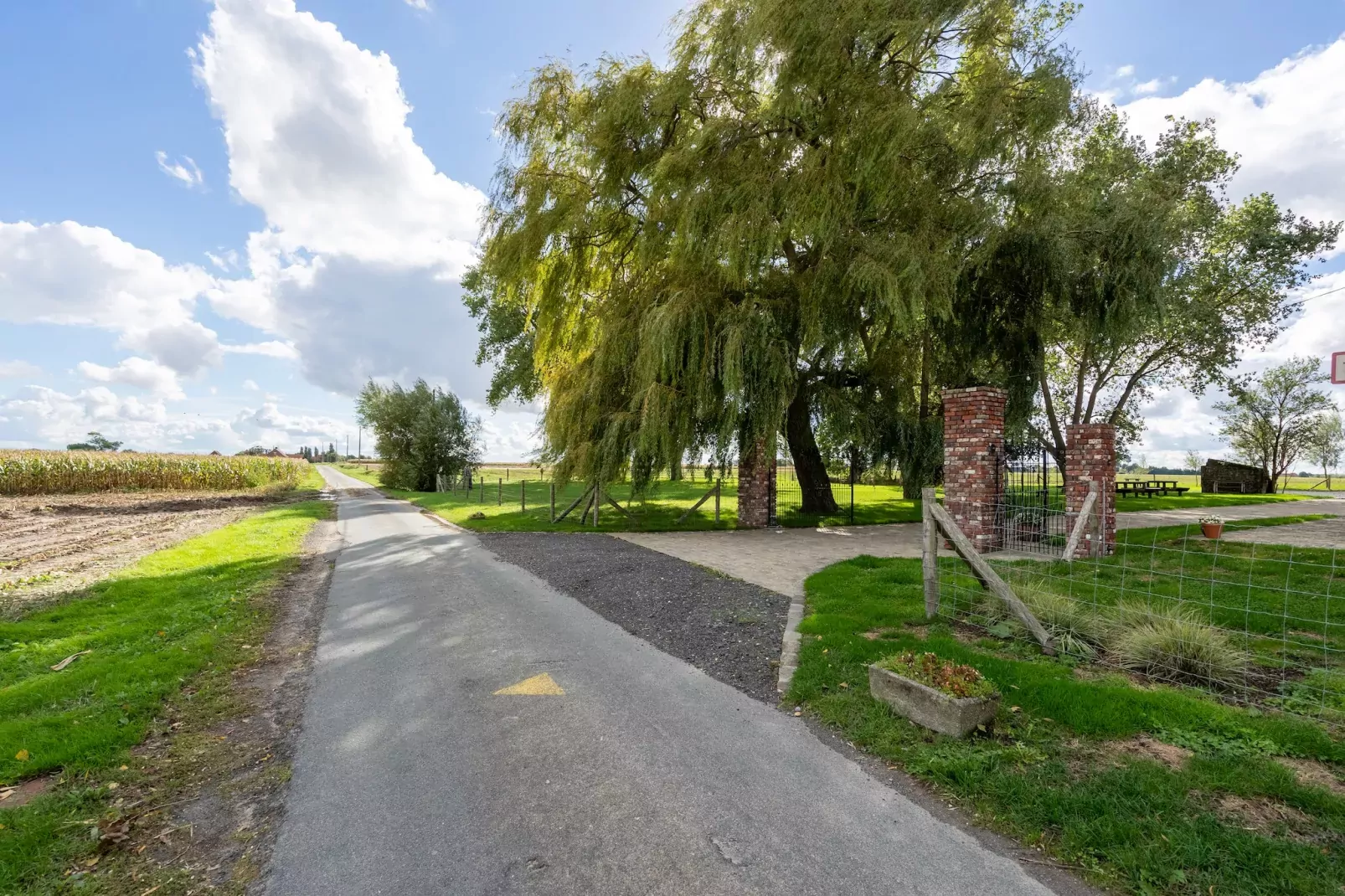 De Korte Lindehoeve-Gebieden zomer 1km