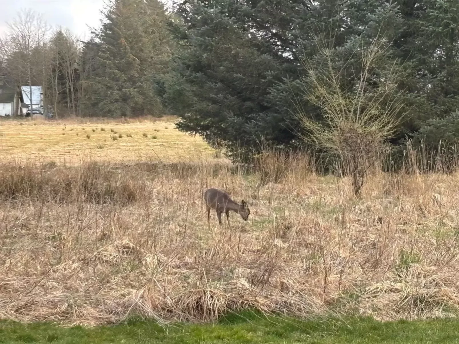 "Marla" - 1.1km from the sea-Buiten
