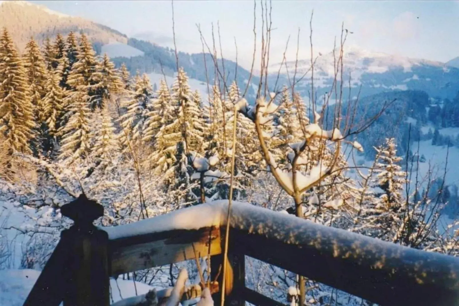 Modern Luxury Duplex In Central Gstaad-Gebieden zomer 20km