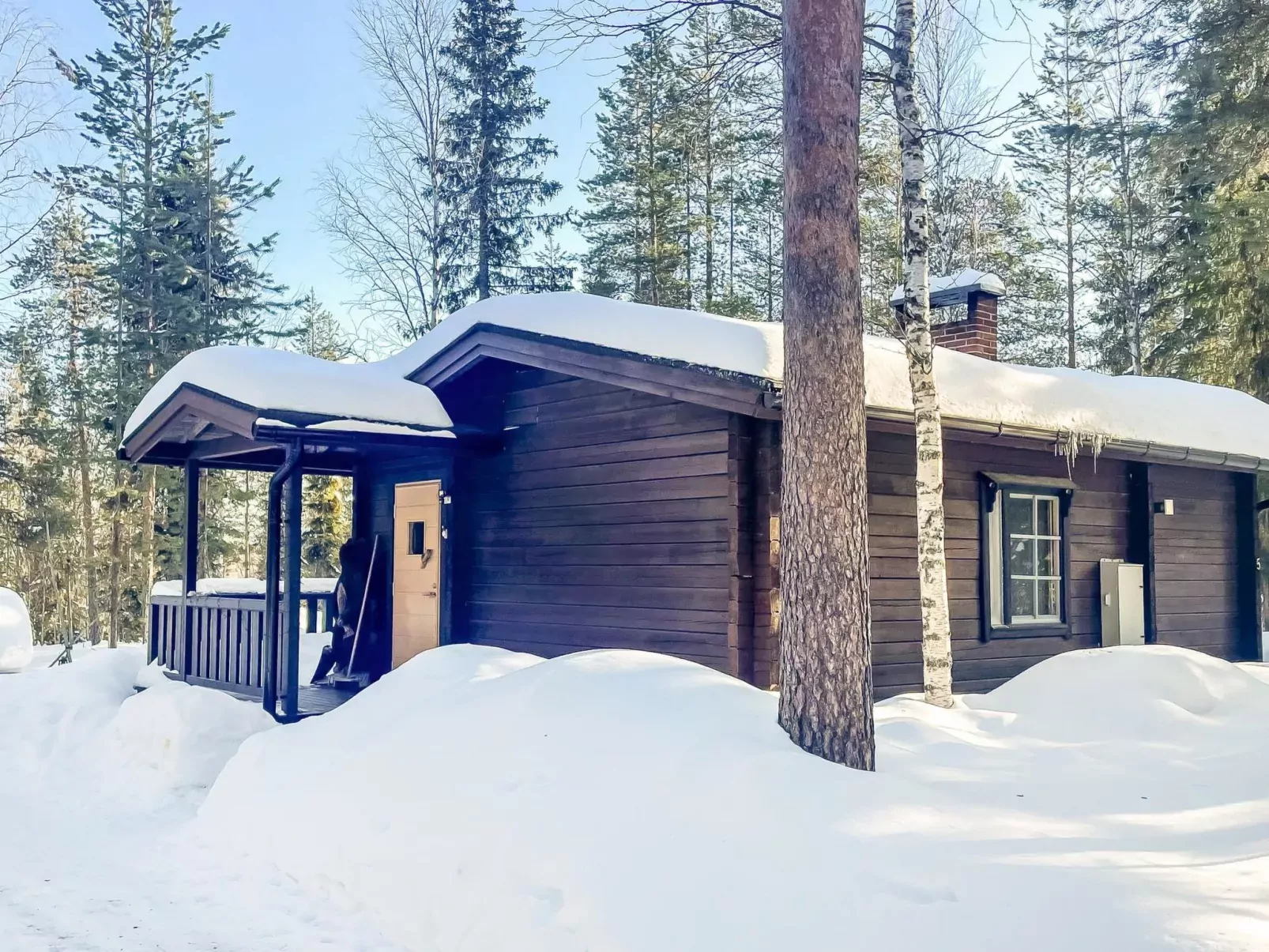 Pyhä pikkukarhu