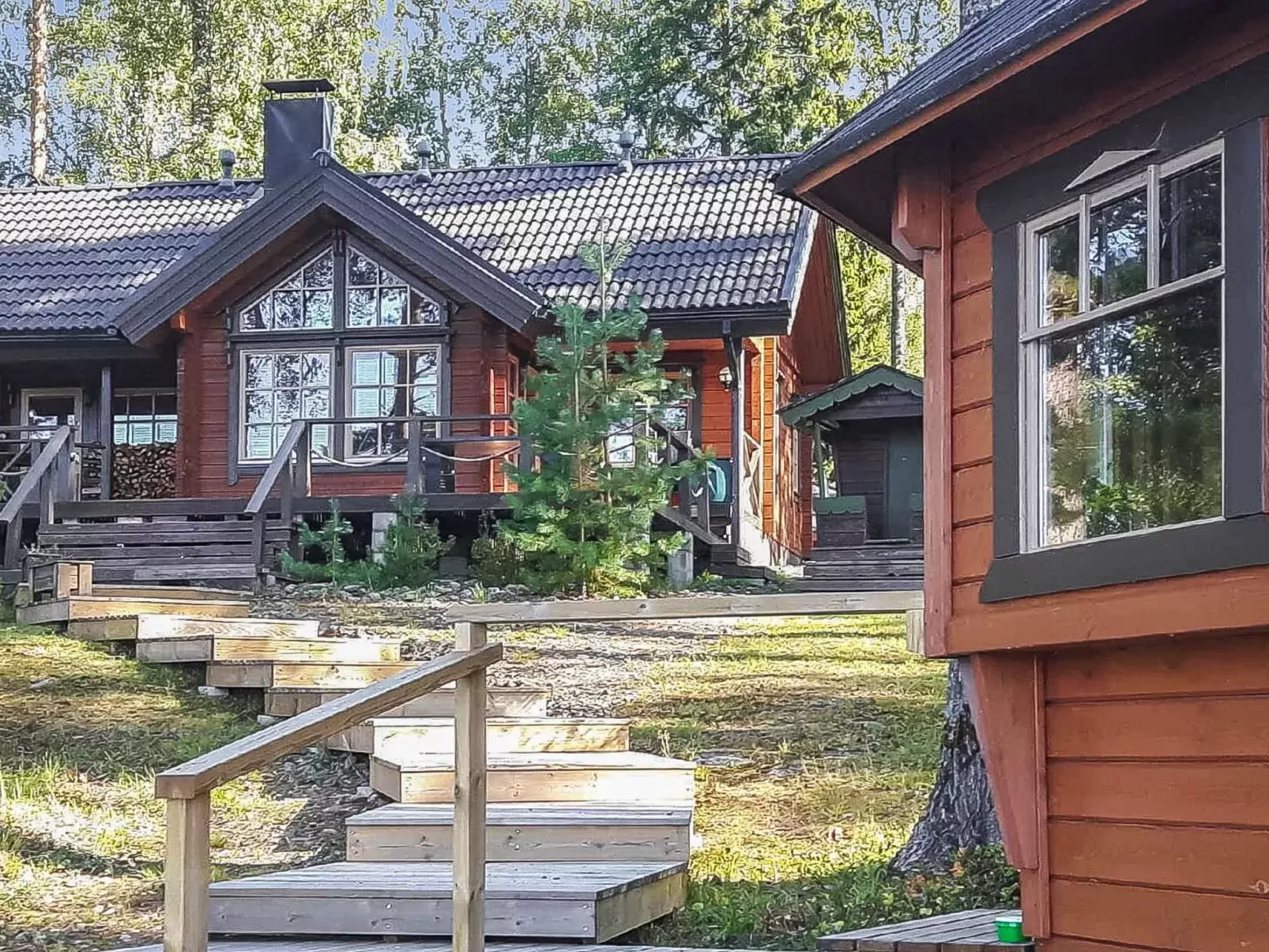 Puolen hehtaarin metsä