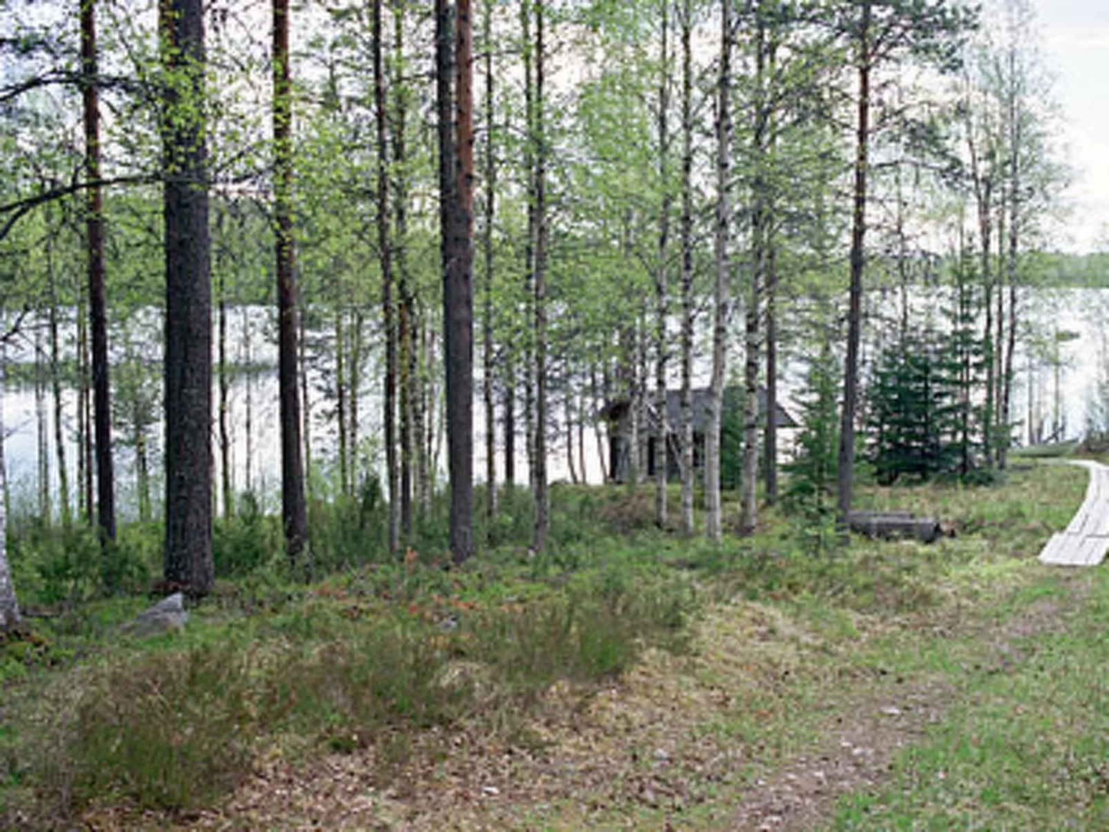Mustikkainen