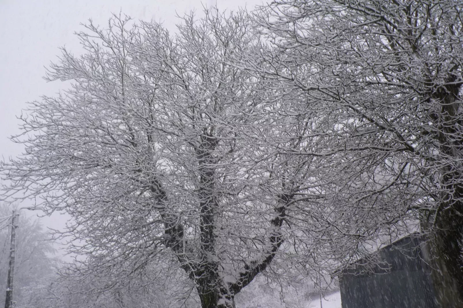 La Bergerie-Tuin winter
